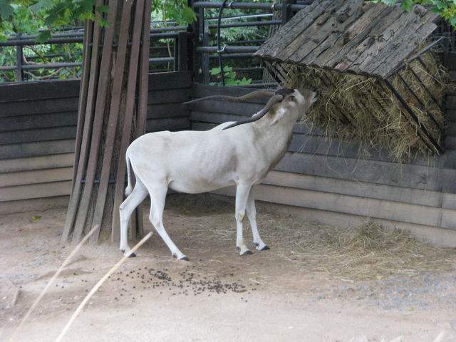 Resize of IMG_2493