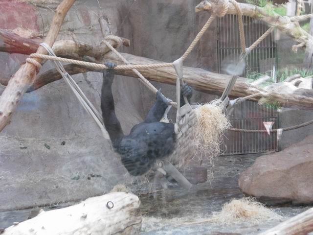 Resize of IMG_2553